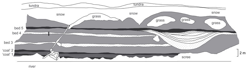 Field sketch of the 98RAS09 section.