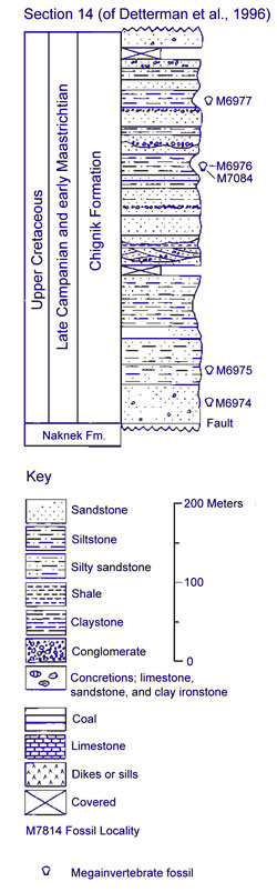 Chignik Formation Section