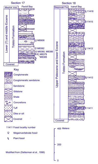 Lithostratigraphy of the Tolstoi Formation at Pavlof and Ivanof Bays, Alaska Peninsula