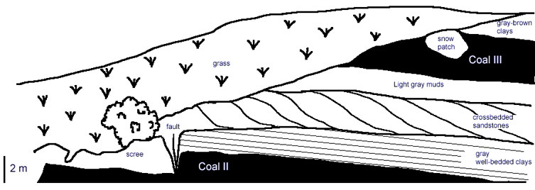 sketch of section 1