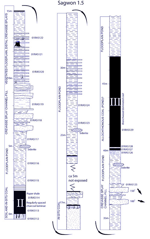 Sedimentary log od Sagwon Locality 1.5