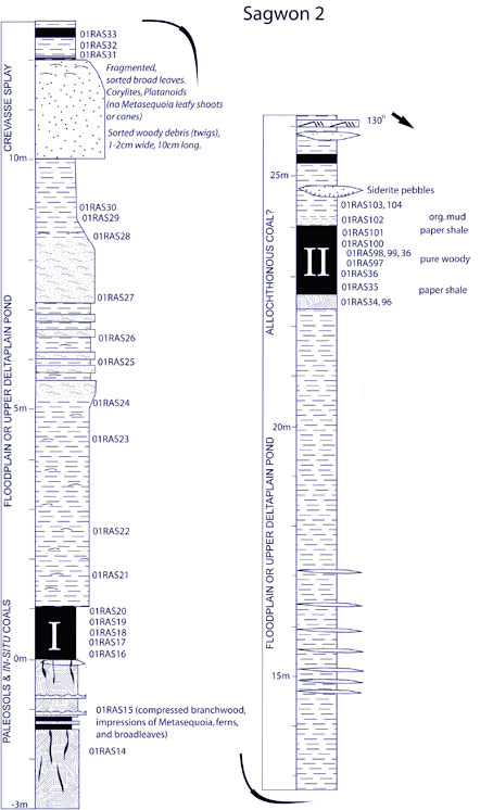 Section 2 sedimentar log