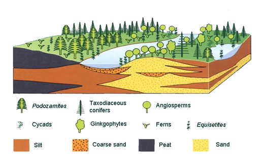 Cartoon of cenomanian vegetation in northern Alaska