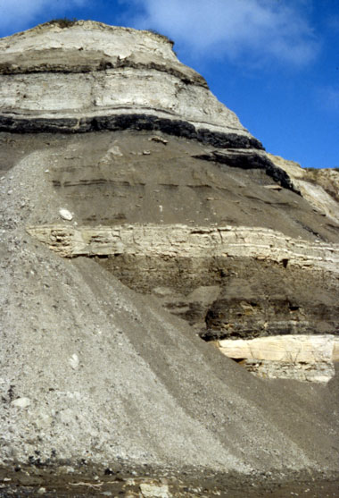 Photograph of sandtones, shales and coals on exposed in the bluffs at Sagwon