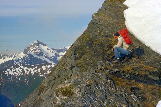 Photograph of Jack A. Wolfe during fieldwork on the Alaska Peninsual in 1976