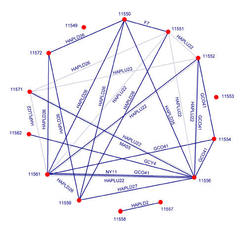 diagram showing the relationships between different Yukon basin localities